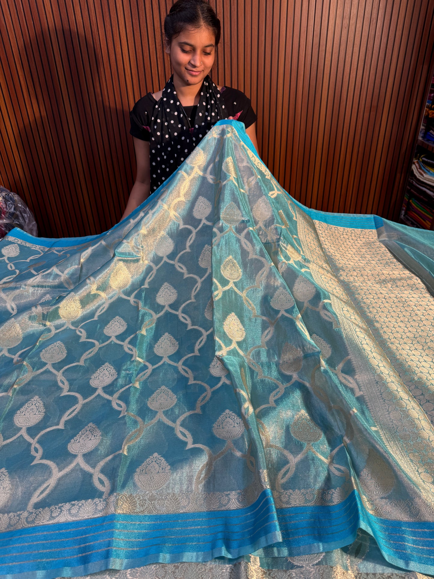 Banarasi tissue silk saree TS109