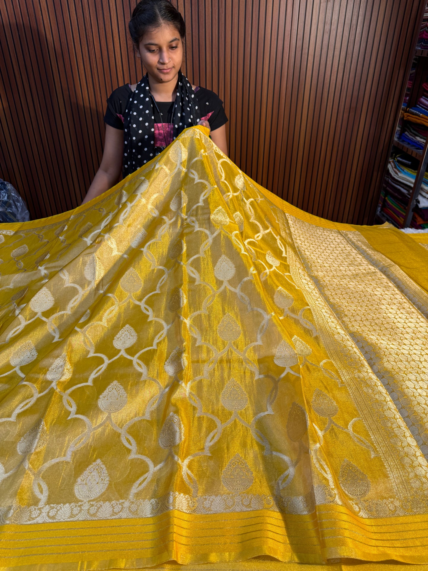 Banarasi tissue silk saree TS109