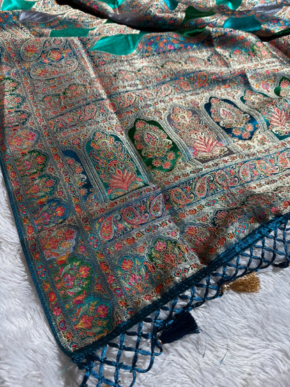 Premium Banarasi pure soft satin pashmina silk saree DS110